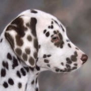 ציירי דיוקנאות של חיות מחמד