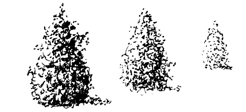 רישום בעט של גופים בעלי רמת ניגודיות ופרטים שונה