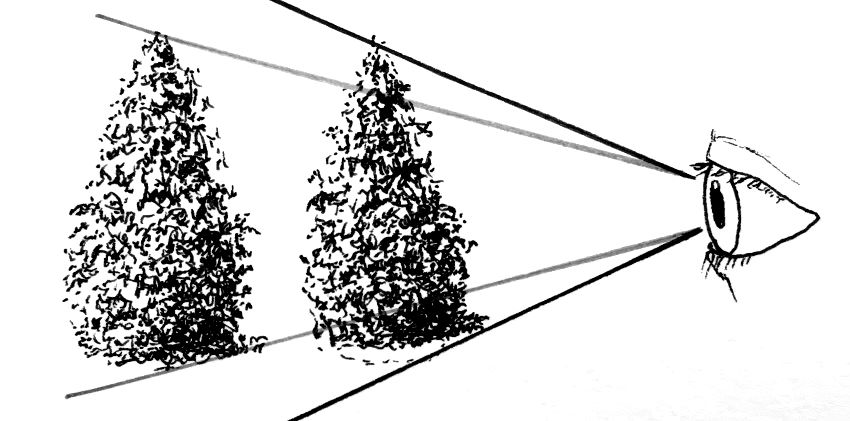 זווית הראייה של המתבונן