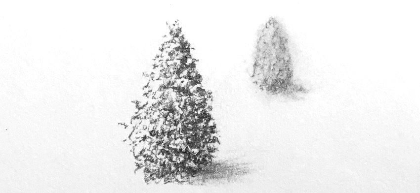 אובייקט קדמי ובפוקוס בעל שוליים חדים