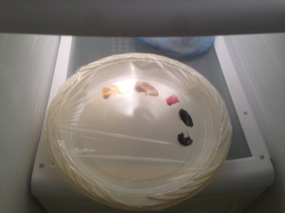 צבעי שמן עטופים בתוך תא הקפאה