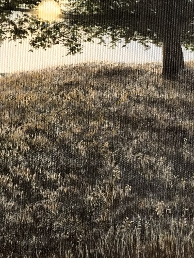 עשב בעזרת מכחול ליינר