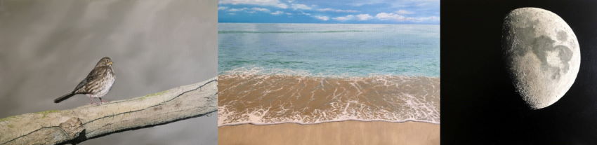 דוגמאות של ציור בסגנון ריאליסטי