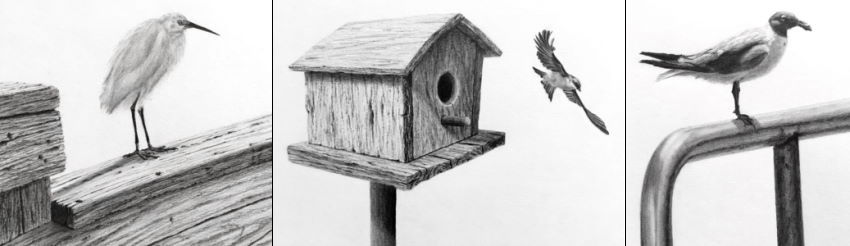 רישומים בעיפרון של מרקמים ריאליסטים