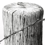 איך לצייר טקסטורות