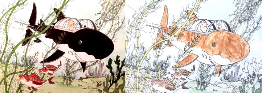 ציור של טינטין עם מרקרים לאחר חשיפה לאור שמש ישיר