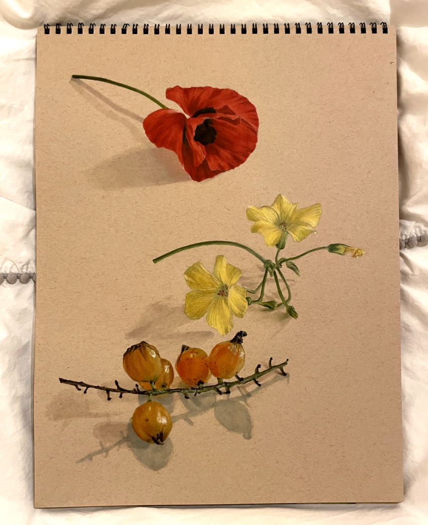 ציור ריאליסטי של פרחים