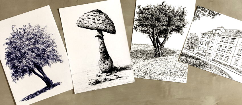 דפי נייר עם ציורים בעט