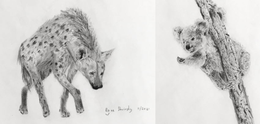 רישום בעיפרון של בעלי חיים, רועי שוירסקי