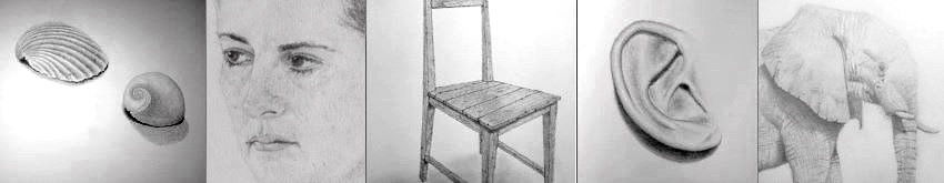 רישומים ריאליסטיים בעיפרון מהתבוננות