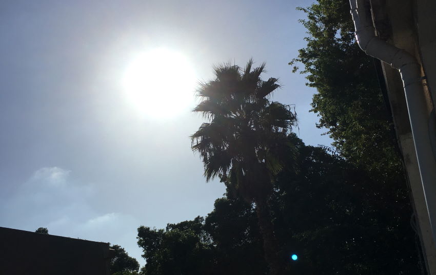 תמונה של שמש לבנה