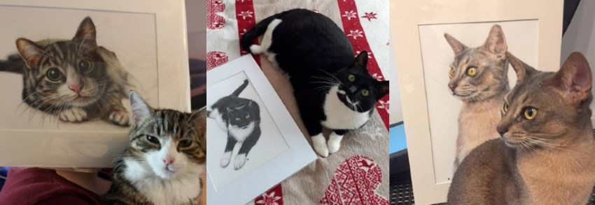 ציורי דיוקן של חתולים על ידי סאמה מרטין