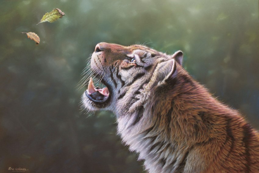 ציור של טיגריס על ידי אריק וילסון