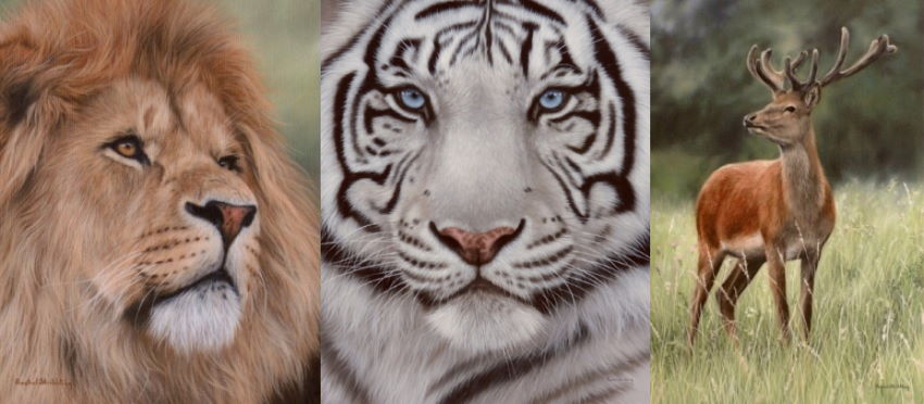 ציור בעלי חיים על ידי רייצל סטריבלינג