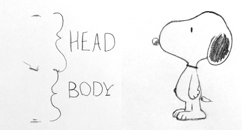 כיצד לצייר סנופי בפרופורציה מהתבוננות