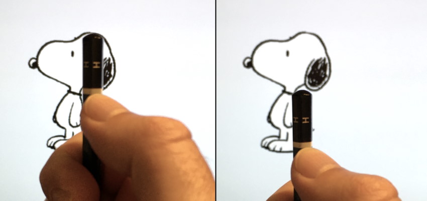 בדיקת היחס בין הראש לגוף של סנופי