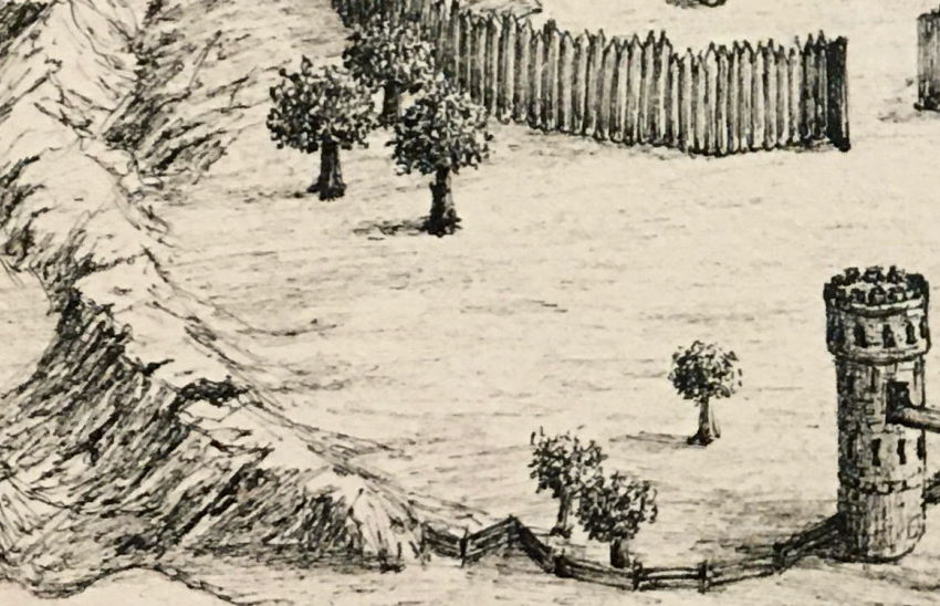 עצים מפוזרים באדמה