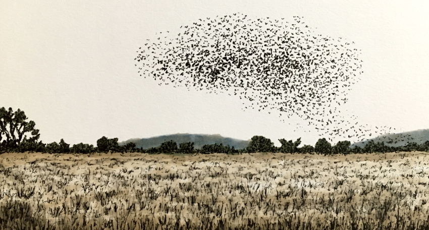 ציור נוף ולהקת ציפורים עם מרקרים קופיק