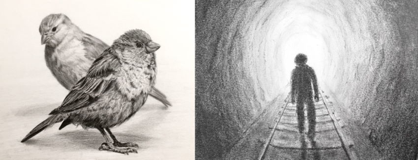 רישומים ריאליסטיים בעפרונות גרפיט