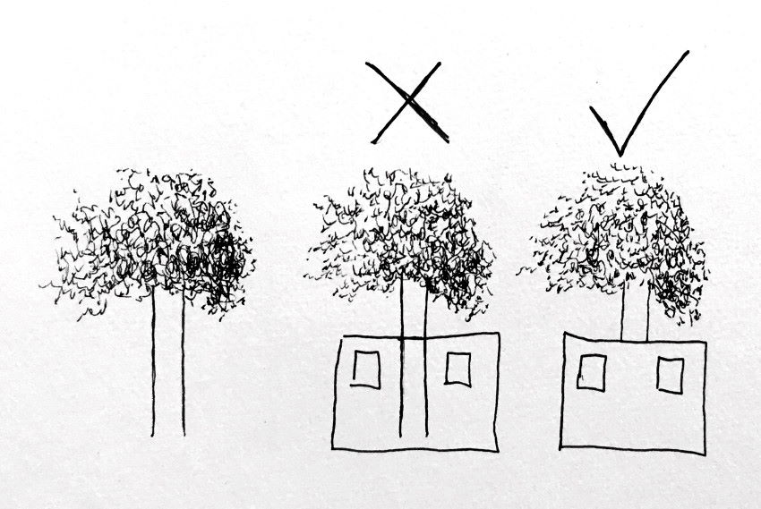 רישום בעט של בית לפני עץ - הסתרה חלקית