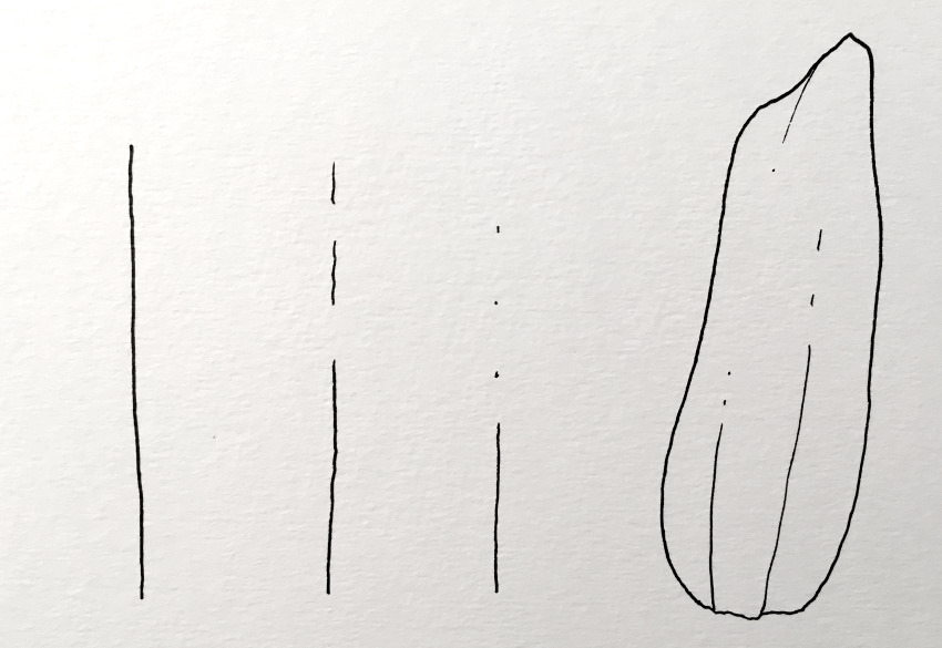 סוגי קווים בעזרת עט