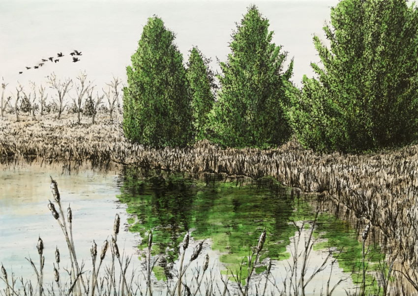 צביעה של ציור נוף בעזרת מרקרים