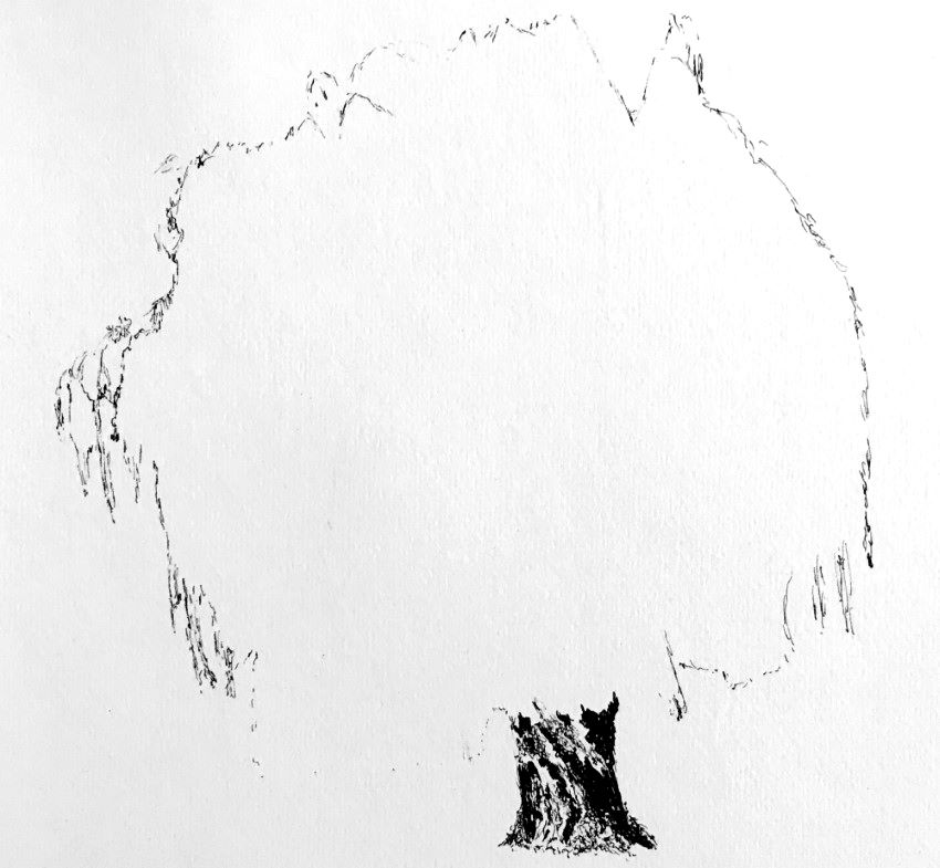 ציור קווי מתאר של ערבה בוכייה