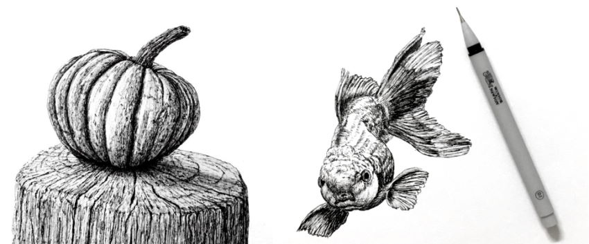 רישומים בעט