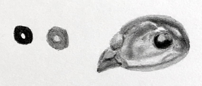 איך לצייר ניגודיות עם עפרונות