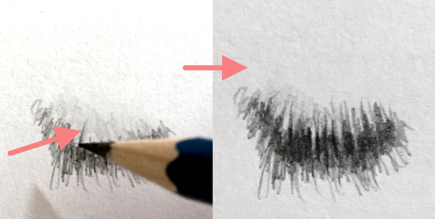 רישום בעיפרון של פרווה עם עיפרון גרפיט