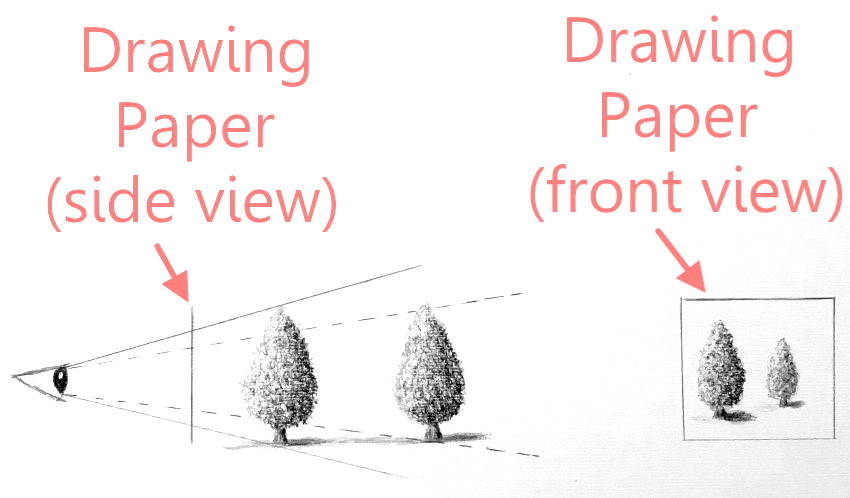 כיצד העין רואה בפרספקטיבה