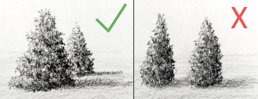 רישום בעפרונות גרפיט של עצים חופפים