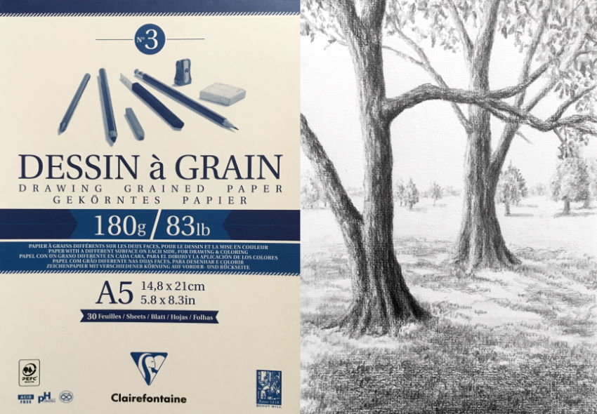 רישום בעיפרון של שני עצים ונוף